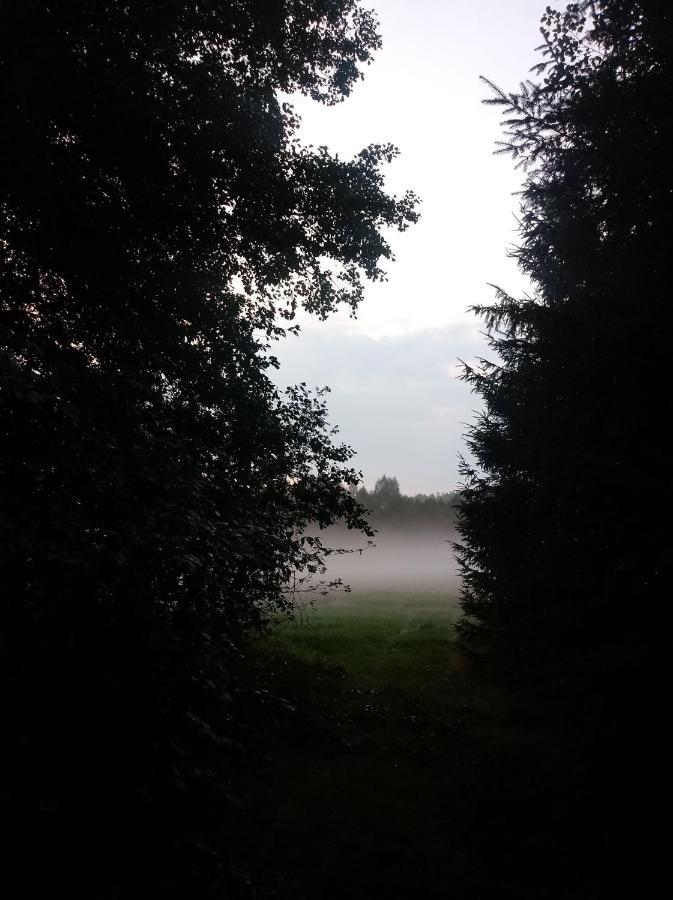 Willa Skibówka Susiec Zewnętrze zdjęcie