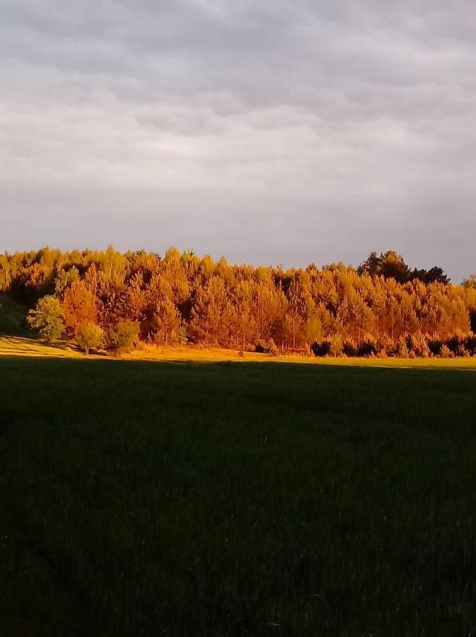 Willa Skibówka Susiec Zewnętrze zdjęcie